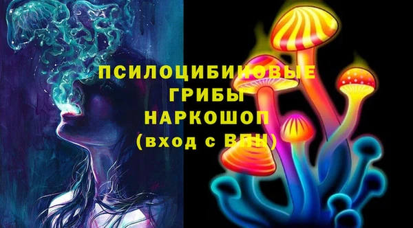 прущая мука Каменка