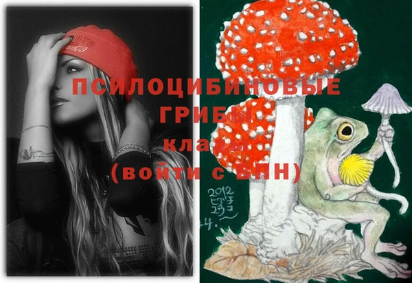 прущая мука Каменка