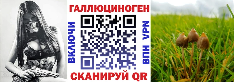 Купить закладки  Красноярск  Галлюциногенные грибы мицелий 